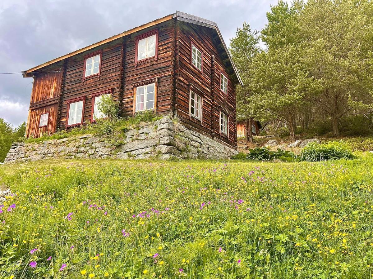 Reinheimen Lodge Skjåk Εξωτερικό φωτογραφία