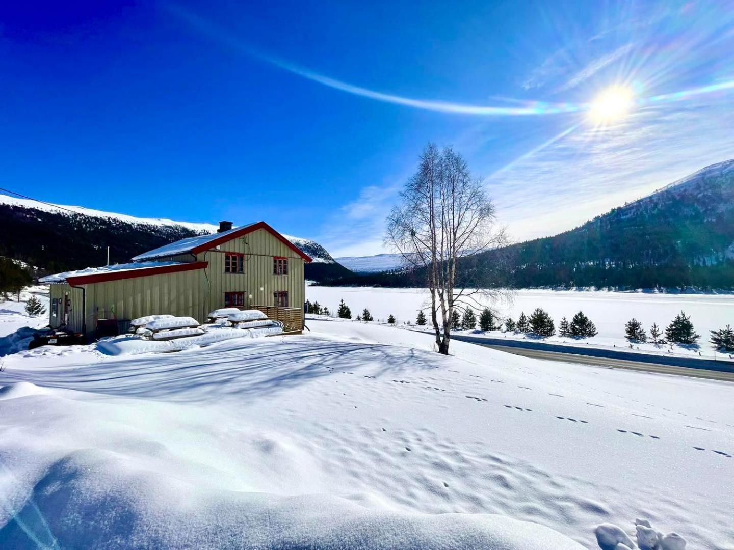 Reinheimen Lodge Skjåk Εξωτερικό φωτογραφία
