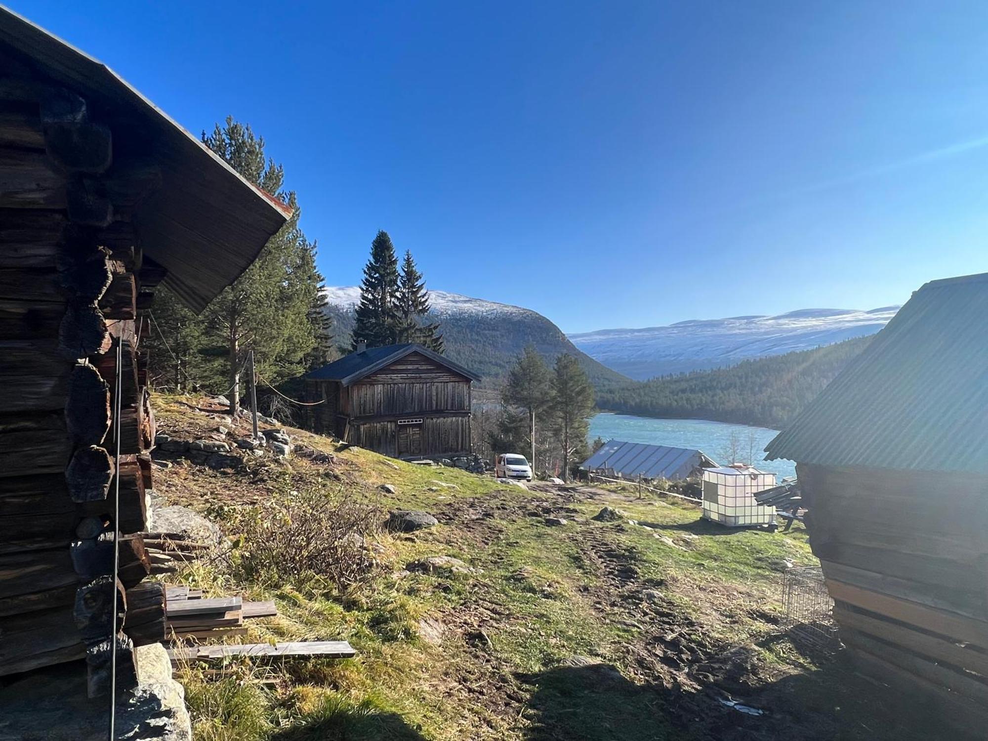 Reinheimen Lodge Skjåk Εξωτερικό φωτογραφία