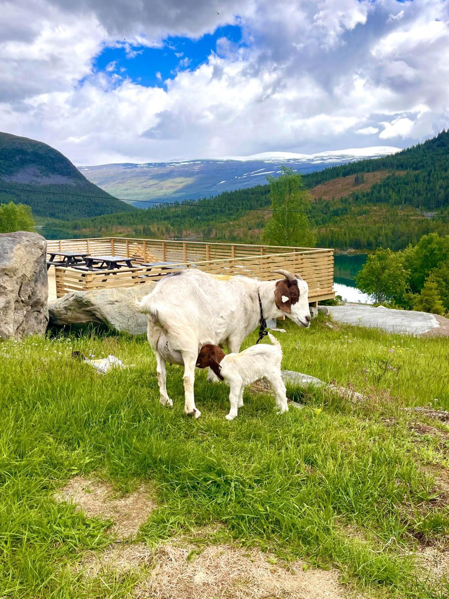 Reinheimen Lodge Skjåk Εξωτερικό φωτογραφία
